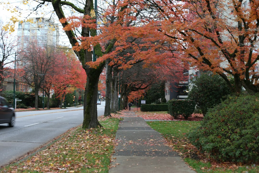 canadian sidewalk scene
