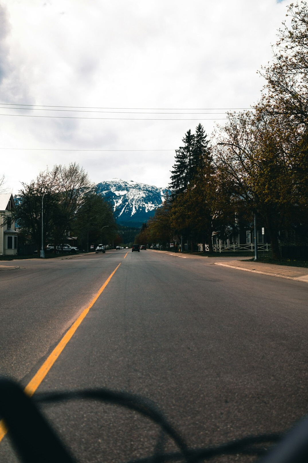 Quiet residential street lined with houses in a Canadian neighborhood
